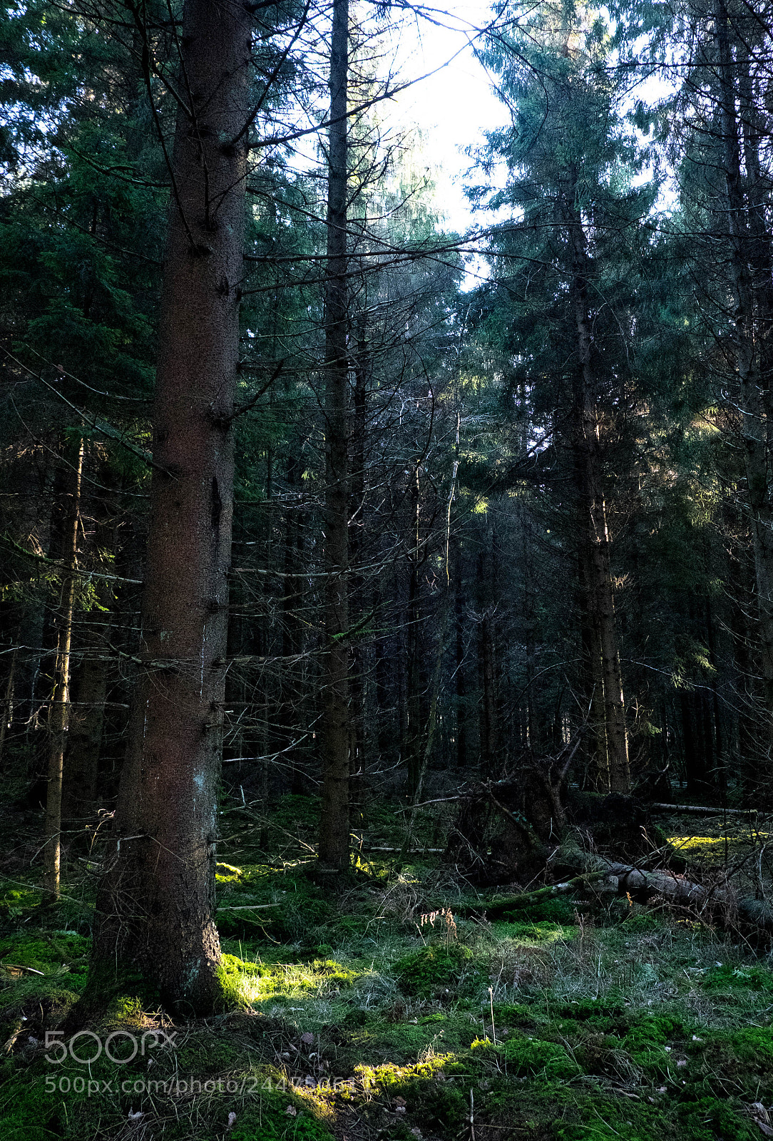 Fujifilm X-T1 sample photo. Last bit of light photography