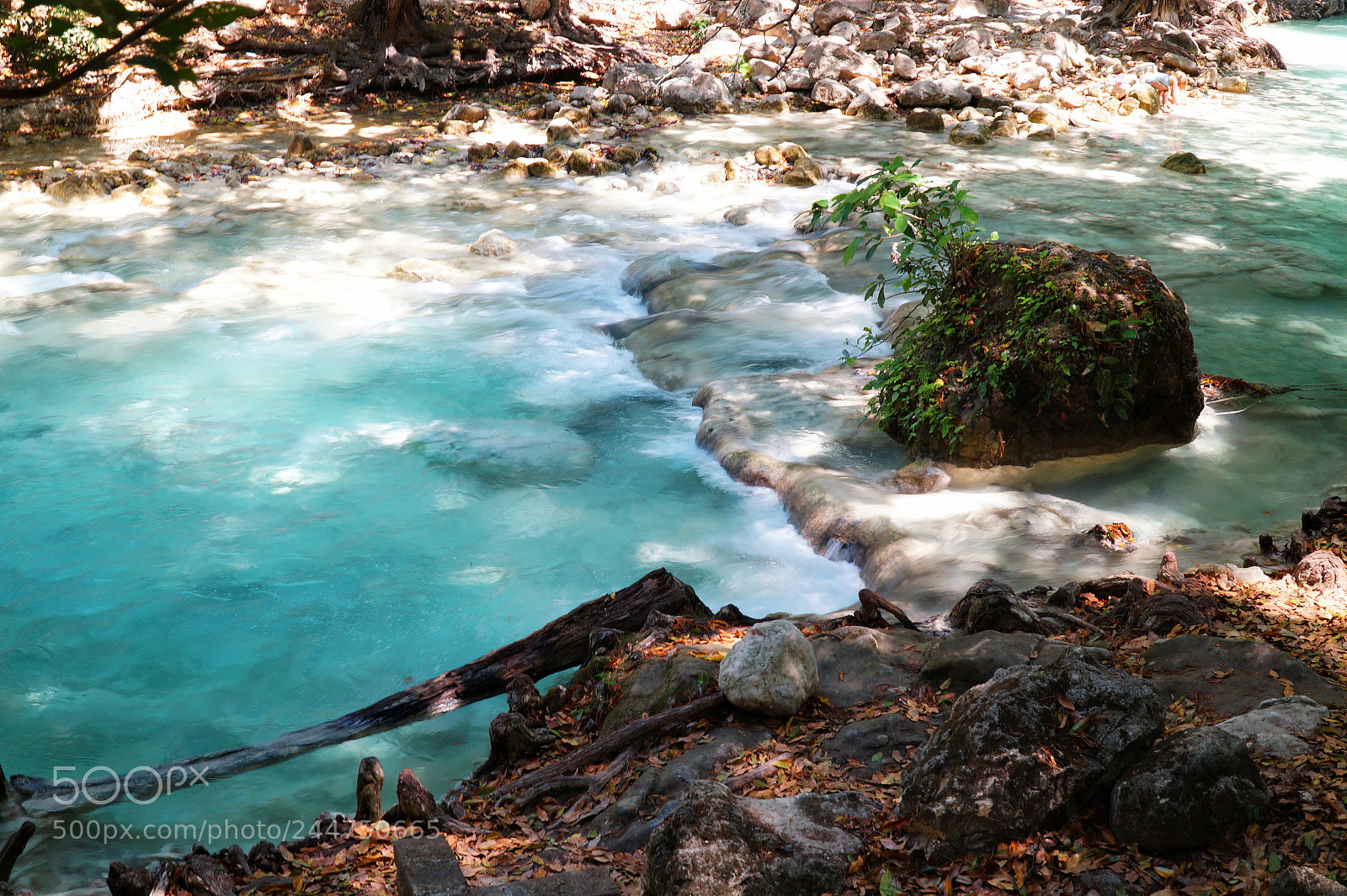 Sony Alpha a3500 sample photo. Stream photography