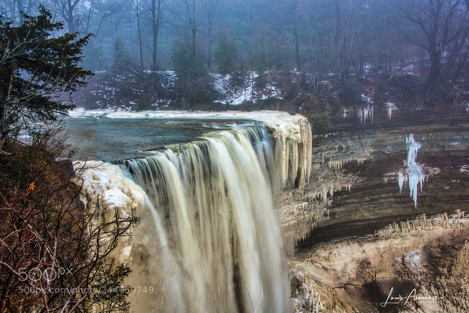 Nikon D810 sample photo. Foggy evening at the photography