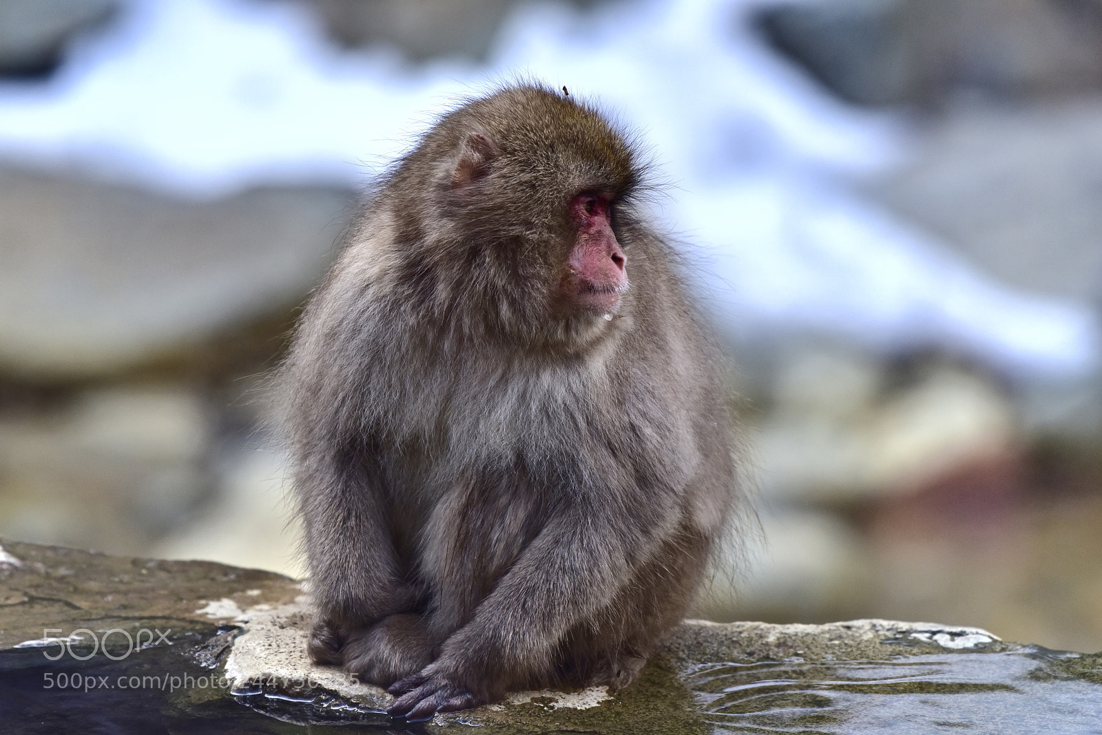 Nikon D810 sample photo. Thoughtful moment photography