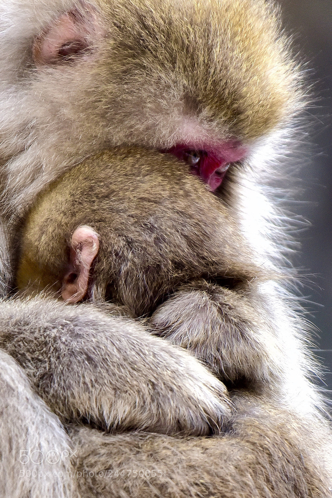 Nikon D810 sample photo. Mother and child photography