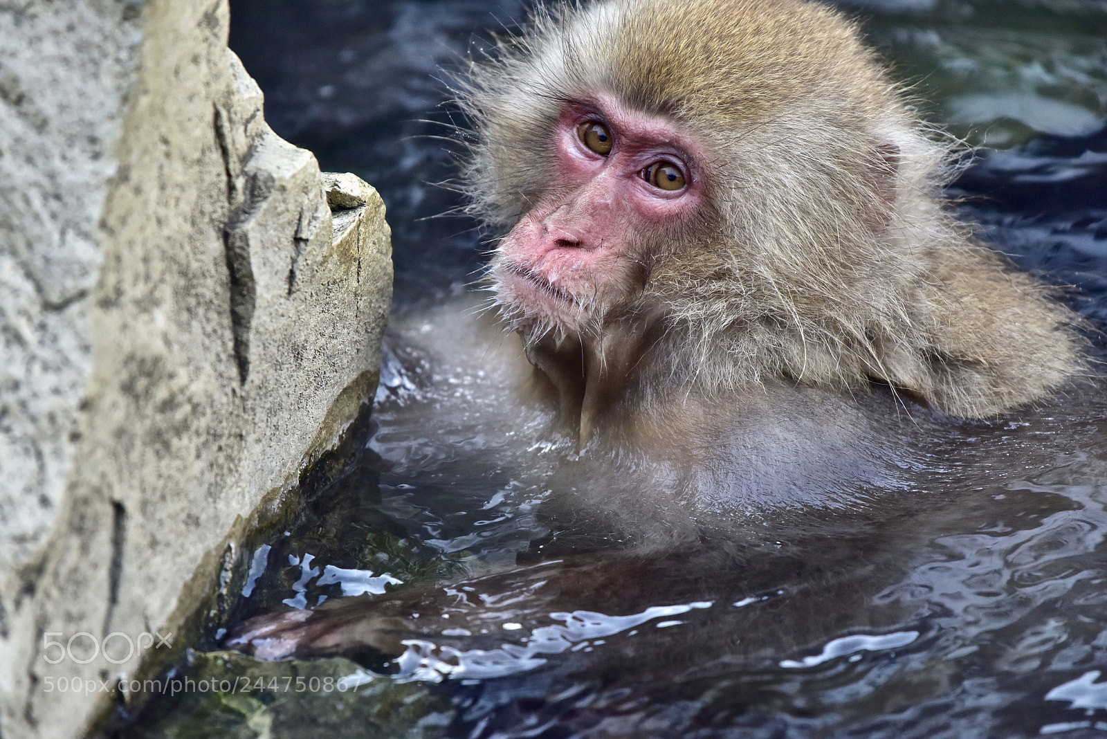 Nikon D810 sample photo. Bath time photography