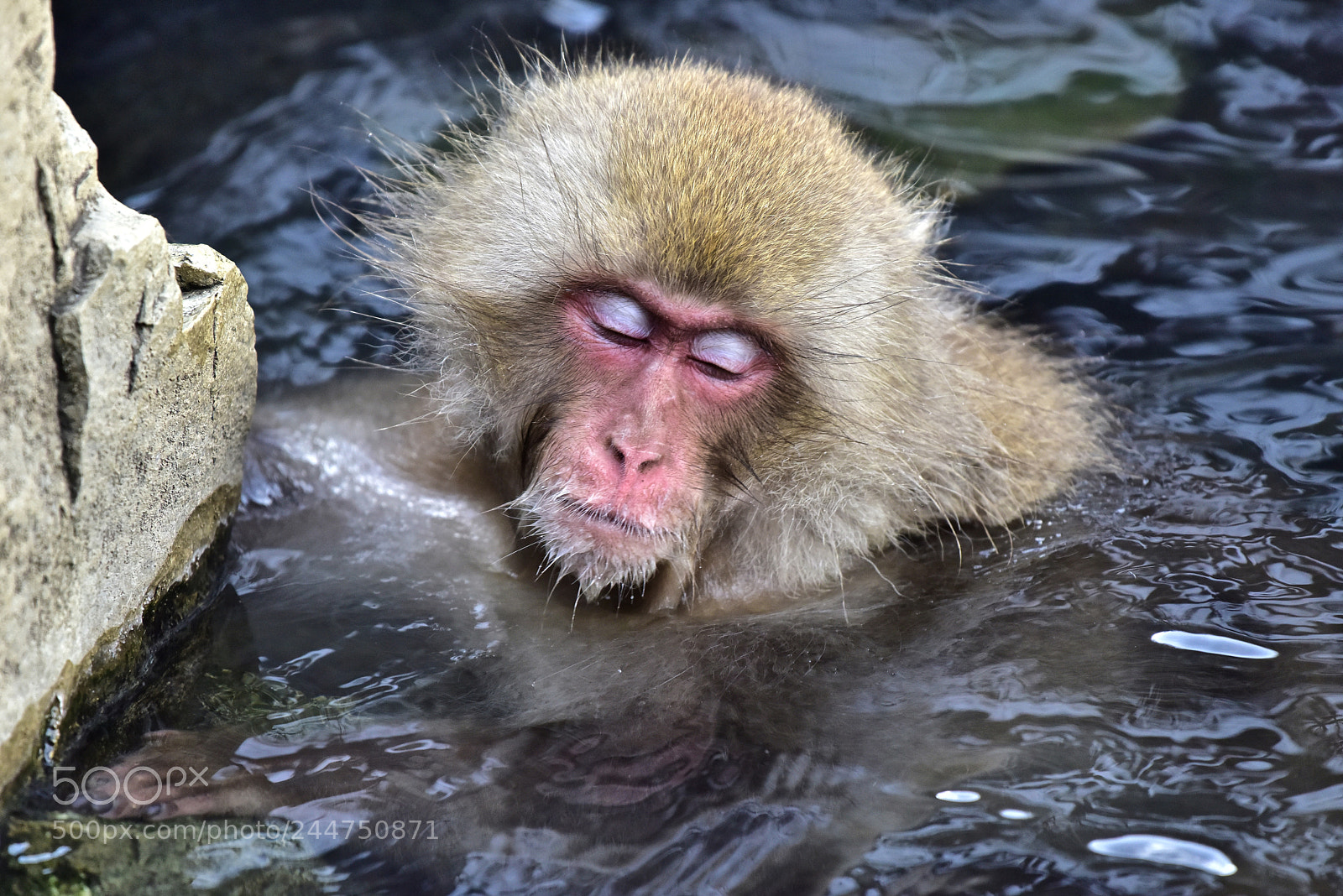 Nikon D810 sample photo. Eyes wide shut photography
