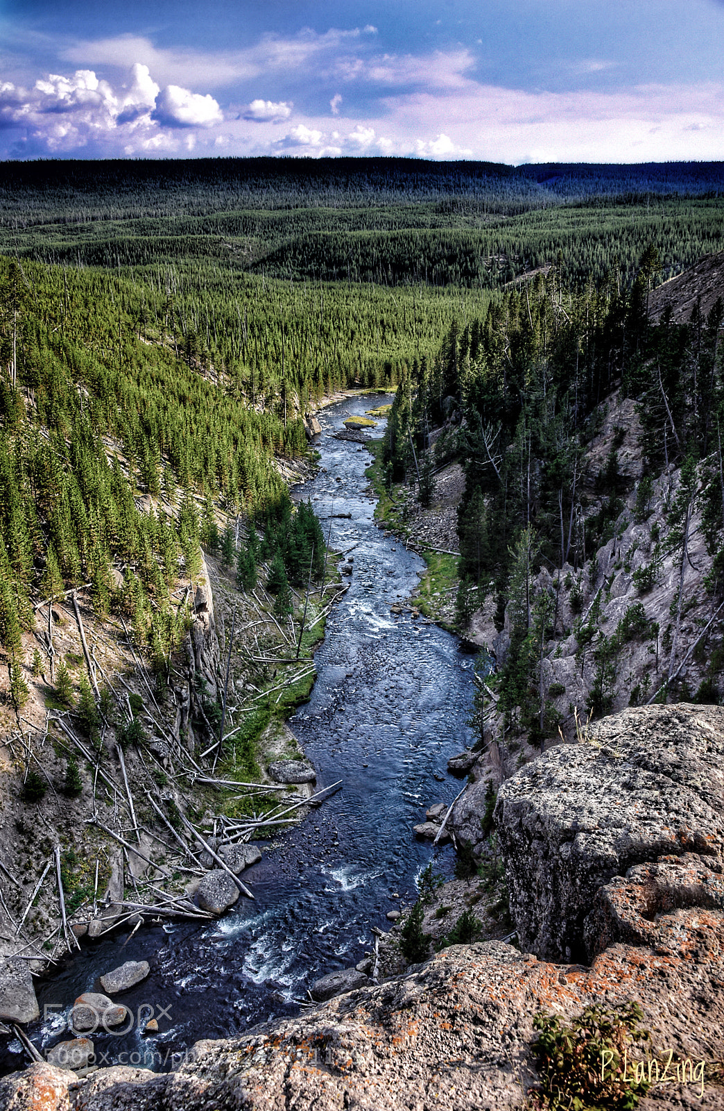 Nikon D810 sample photo. Yellowstone river, wyoming photography
