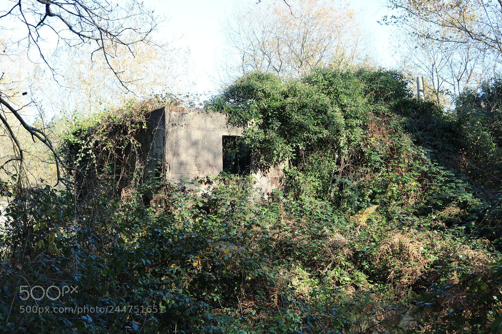 Canon EOS 750D (EOS Rebel T6i / EOS Kiss X8i) sample photo. Abandoned home photography