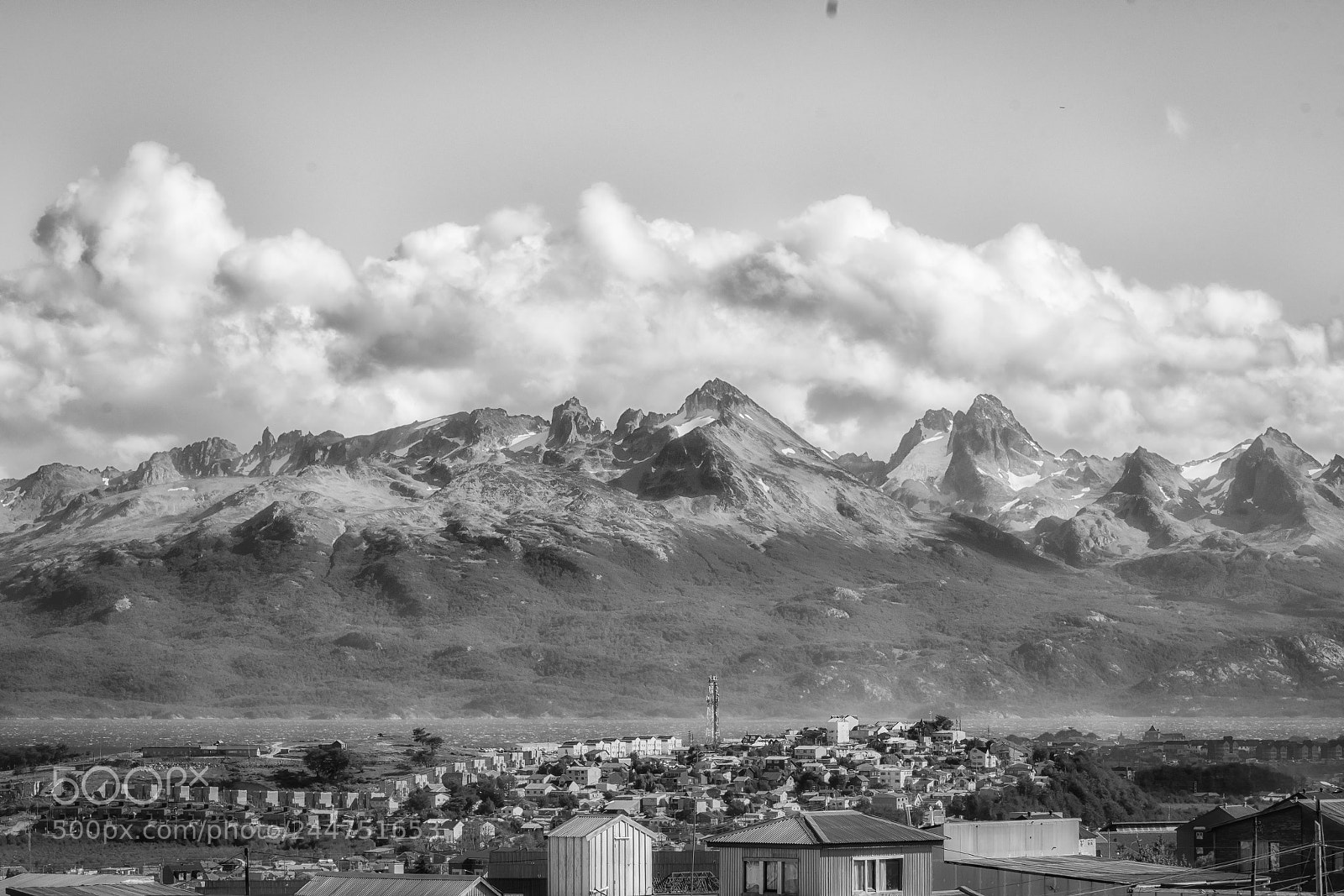 Nikon D500 sample photo. Untitled photography