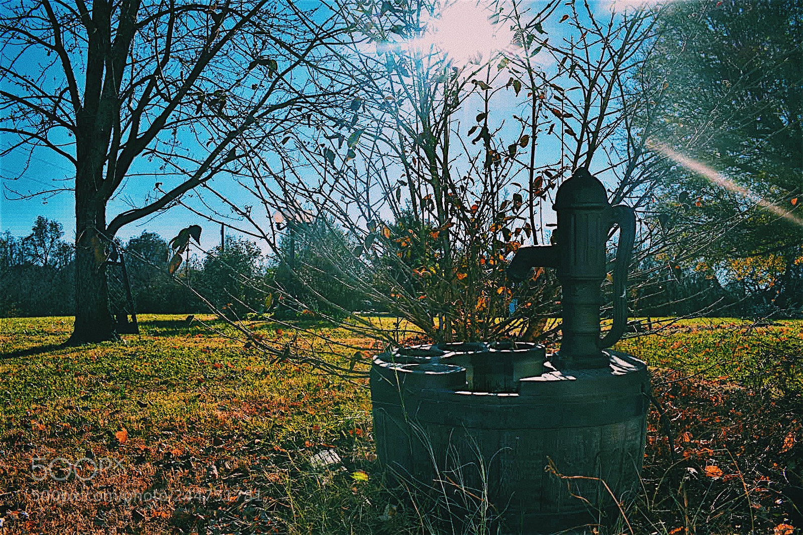 Nikon D3400 sample photo. Untitled photography