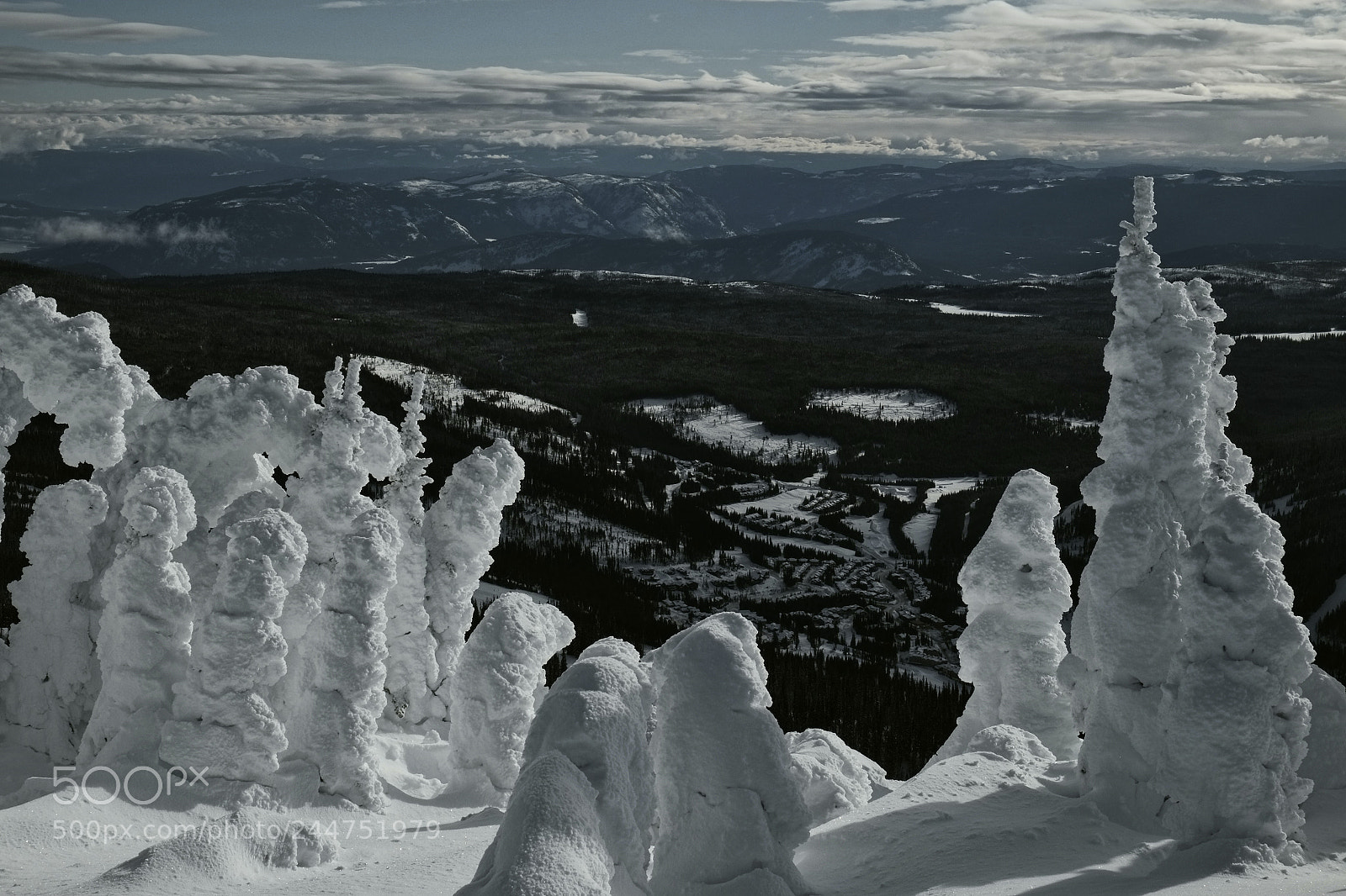Fujifilm X-E1 sample photo. Snow ghost's gaze down photography