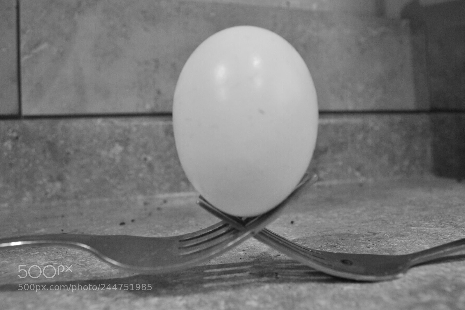 Nikon D3100 sample photo. Still life photography