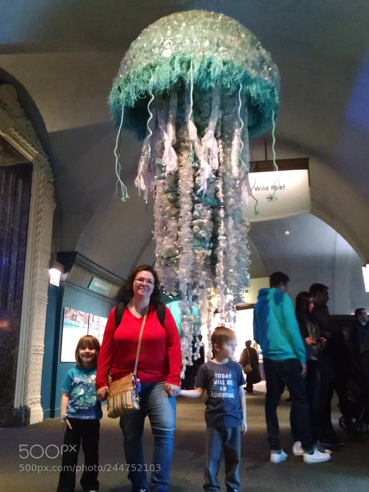 Motorola Moto X (1st Gen) sample photo. The giant jellyfish photography