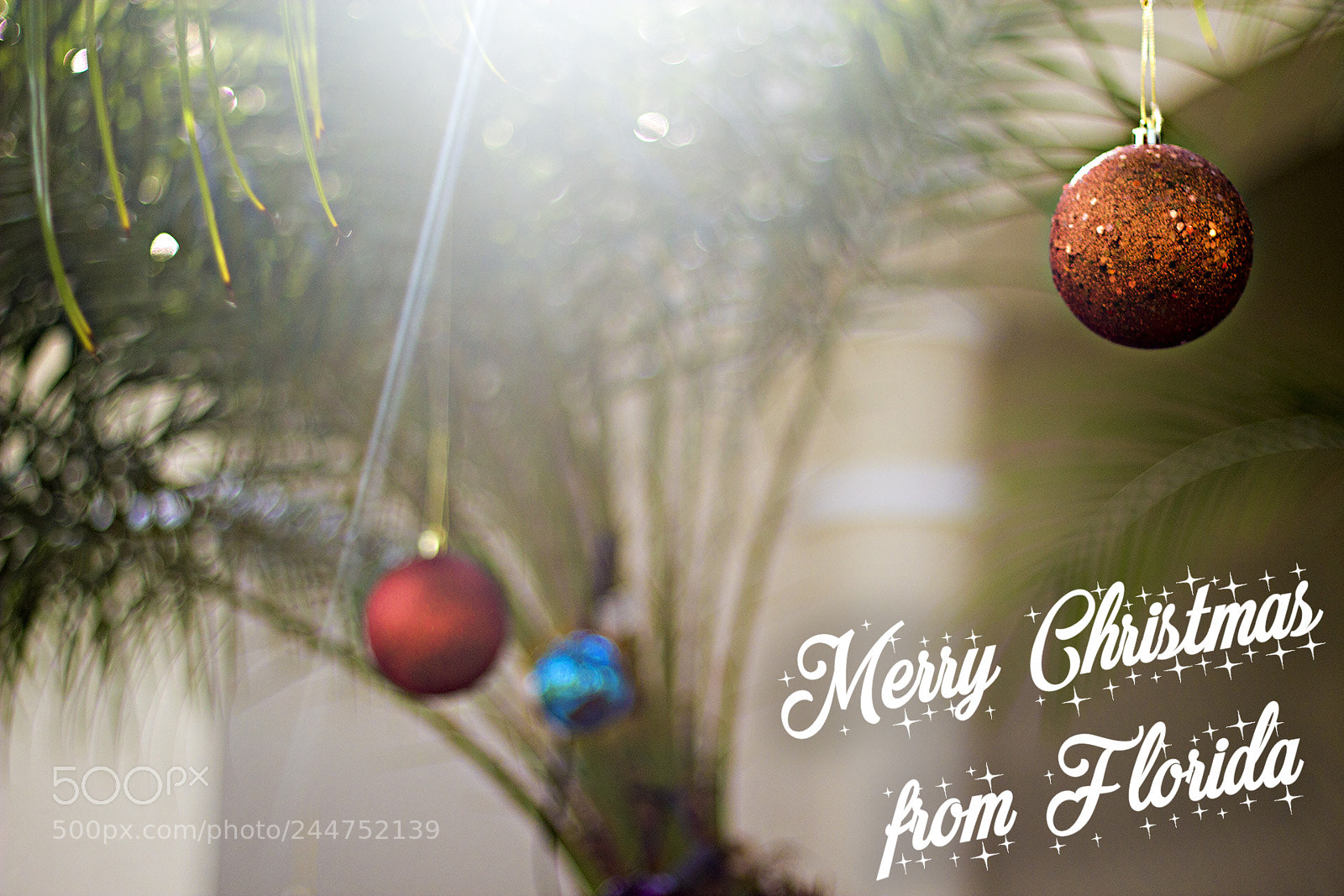 Canon EOS 550D (EOS Rebel T2i / EOS Kiss X4) sample photo. Merry christmas photography