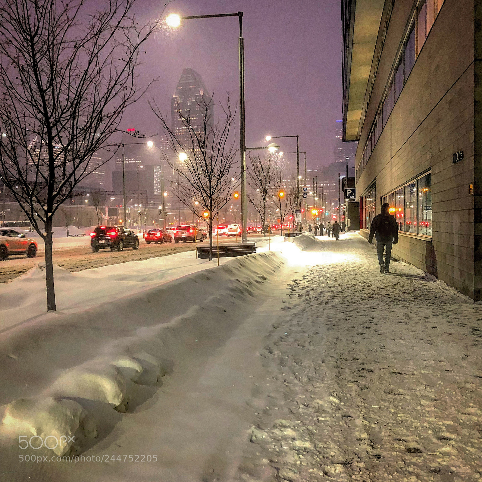 Apple iPhone X sample photo. Let it snow let photography