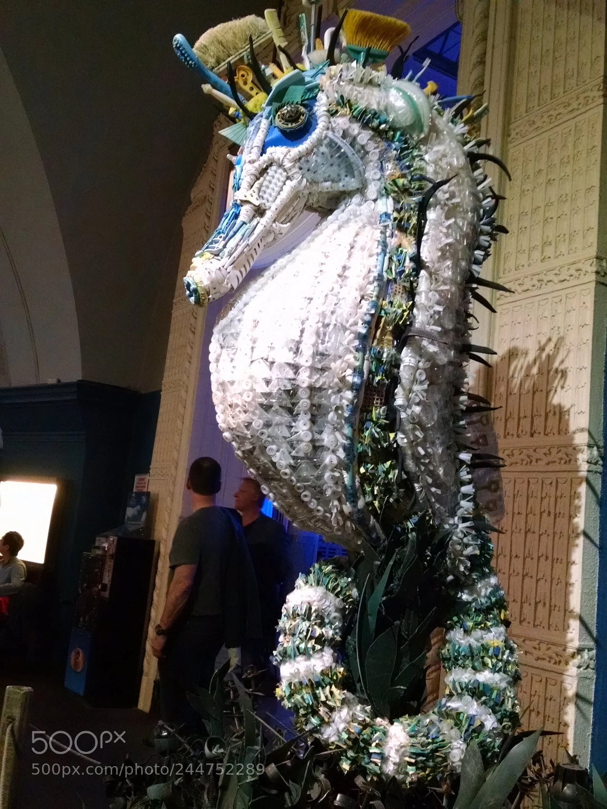 Motorola Moto X (1st Gen) sample photo. Giant seahorse photography