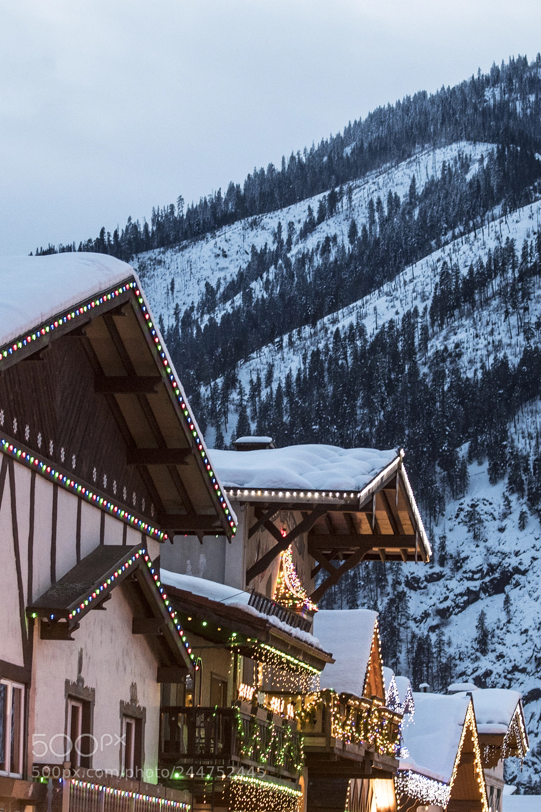 Nikon D500 sample photo. Snowy roof tops in photography