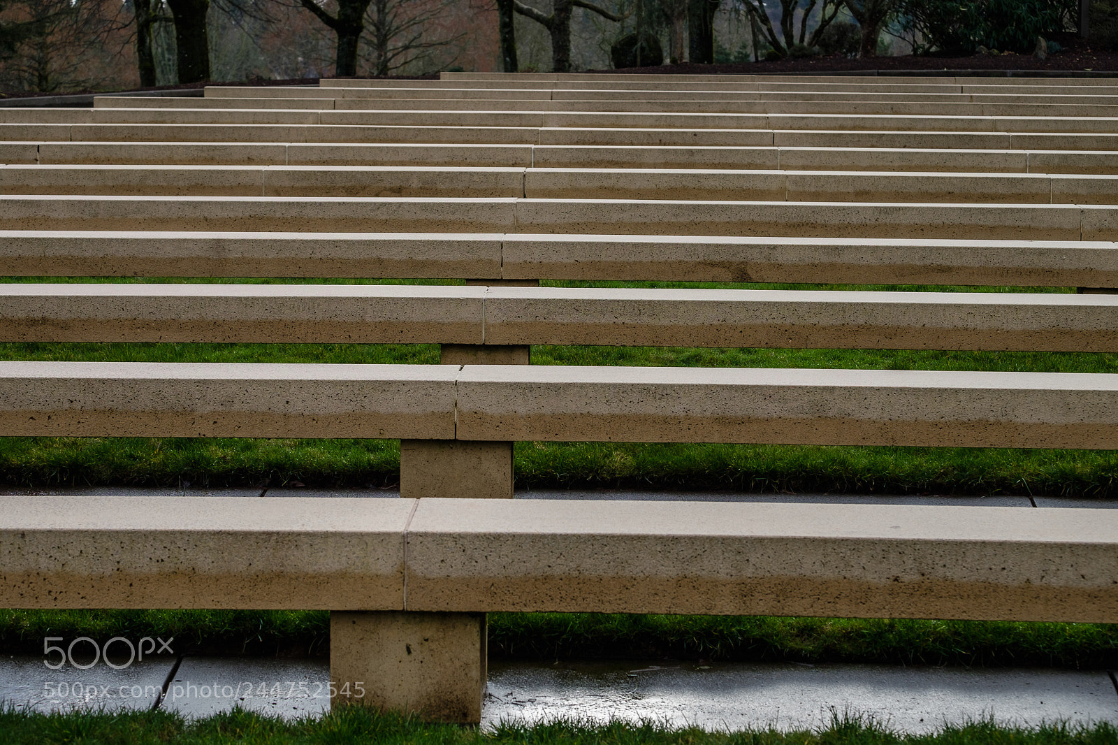 Fujifilm X-T1 sample photo. Willamette national cemetery photography