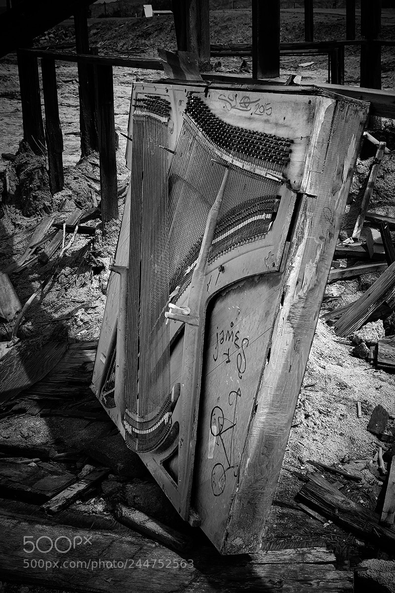 Fujifilm X-T1 sample photo. No piano web photography