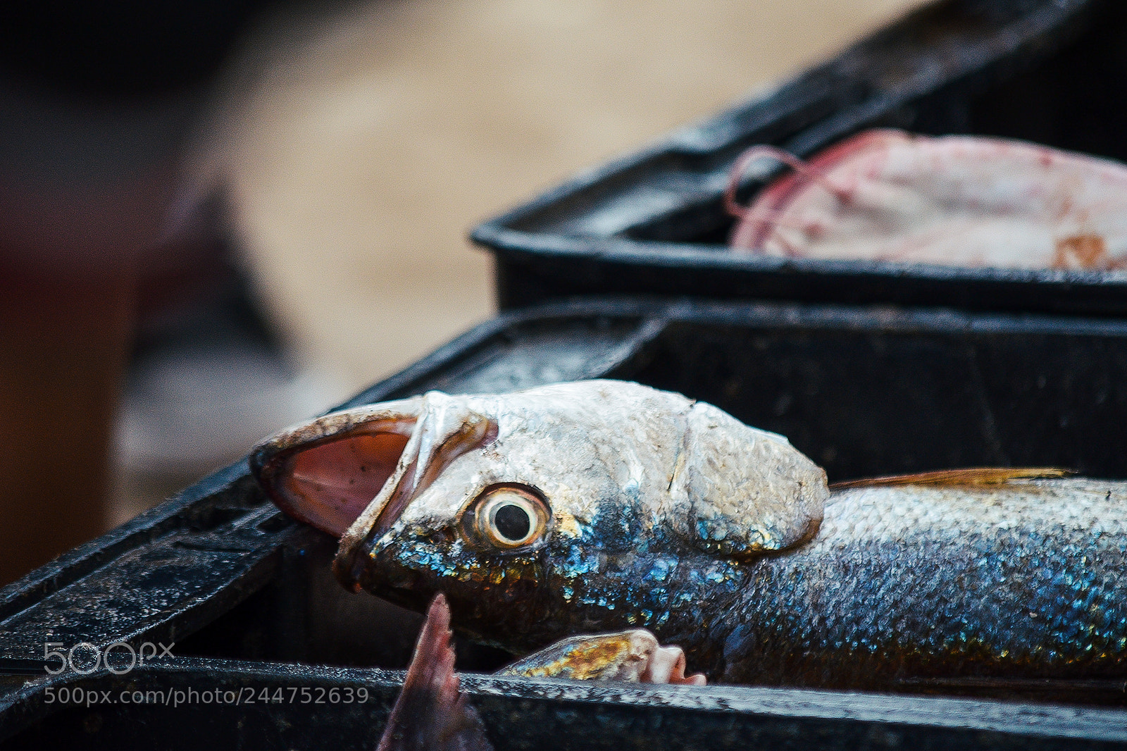 Nikon D5100 sample photo. Pescadores de mar de photography