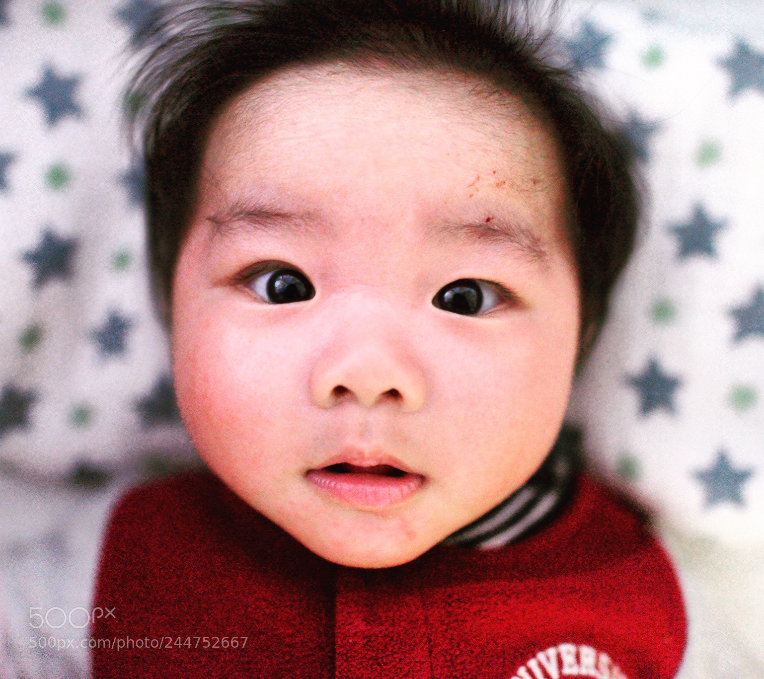 Nikon D800 sample photo. Untitled photography