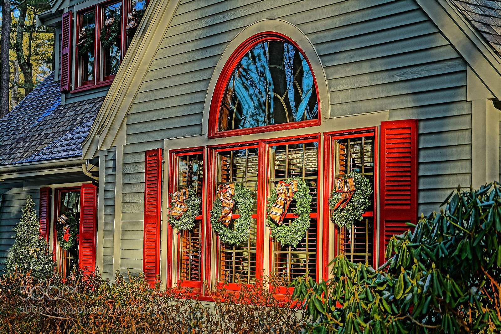 Sony a7R II sample photo. Christmas in february light photography