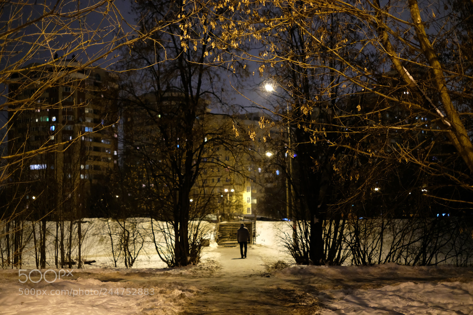 Fujifilm X-T20 sample photo. Untitled photography