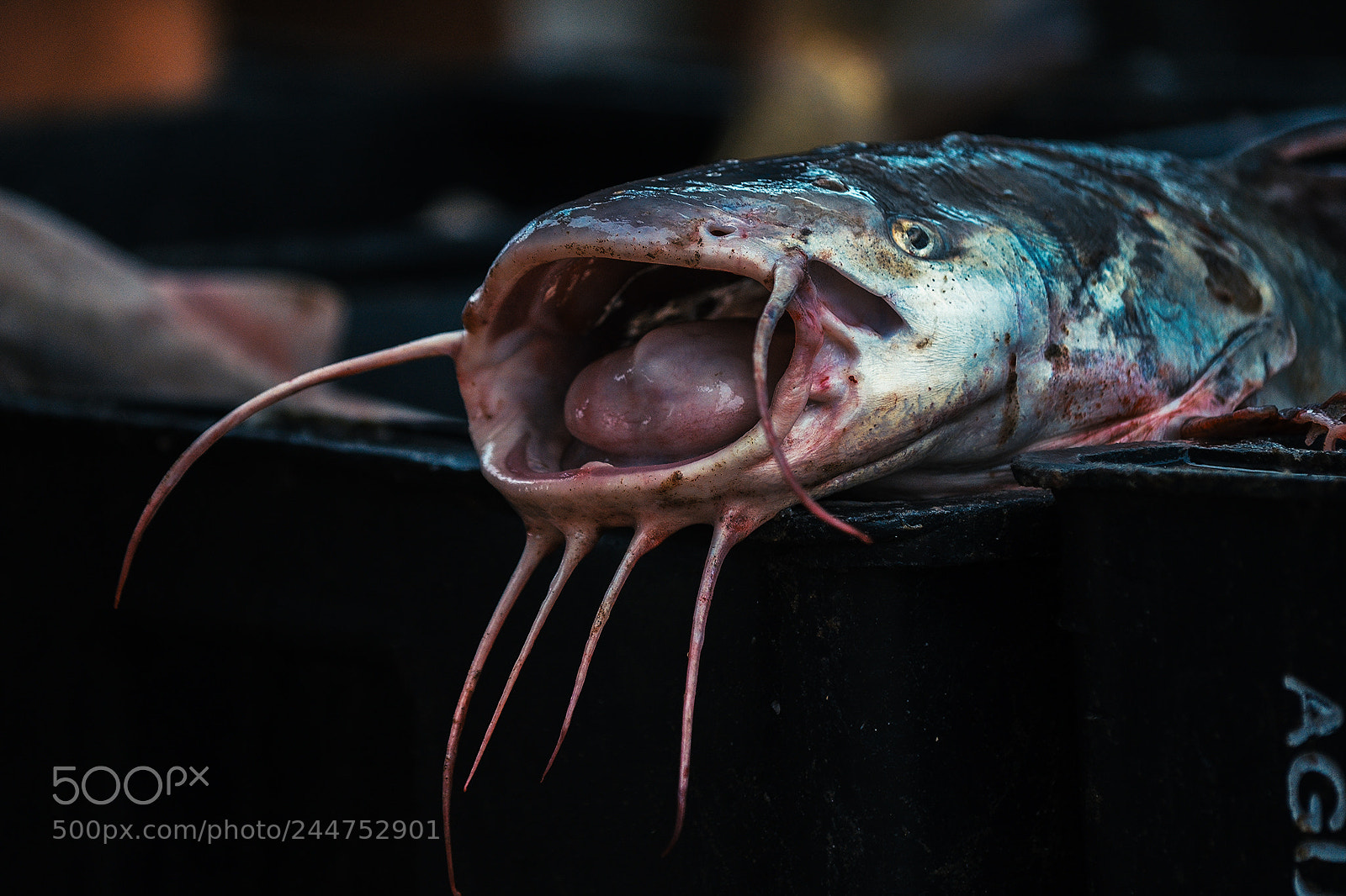Nikon D5100 sample photo. Pescadores de mar de photography