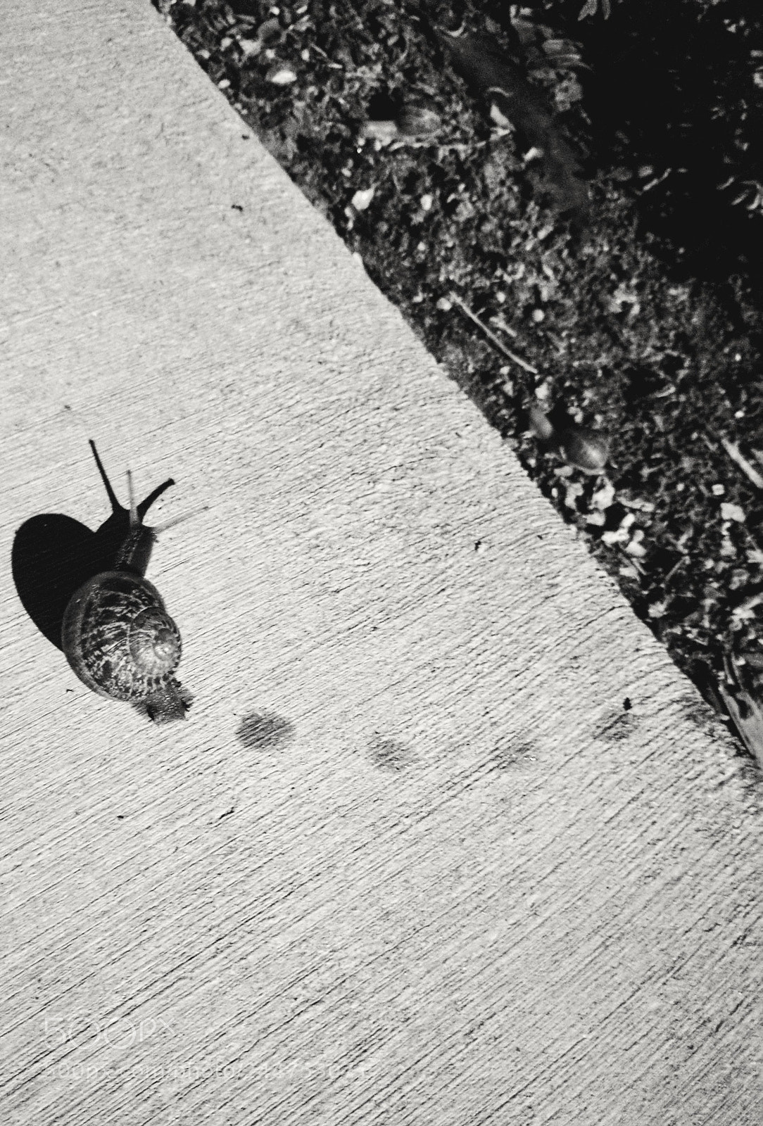 LG Nexus 5X sample photo. Snail trail photography