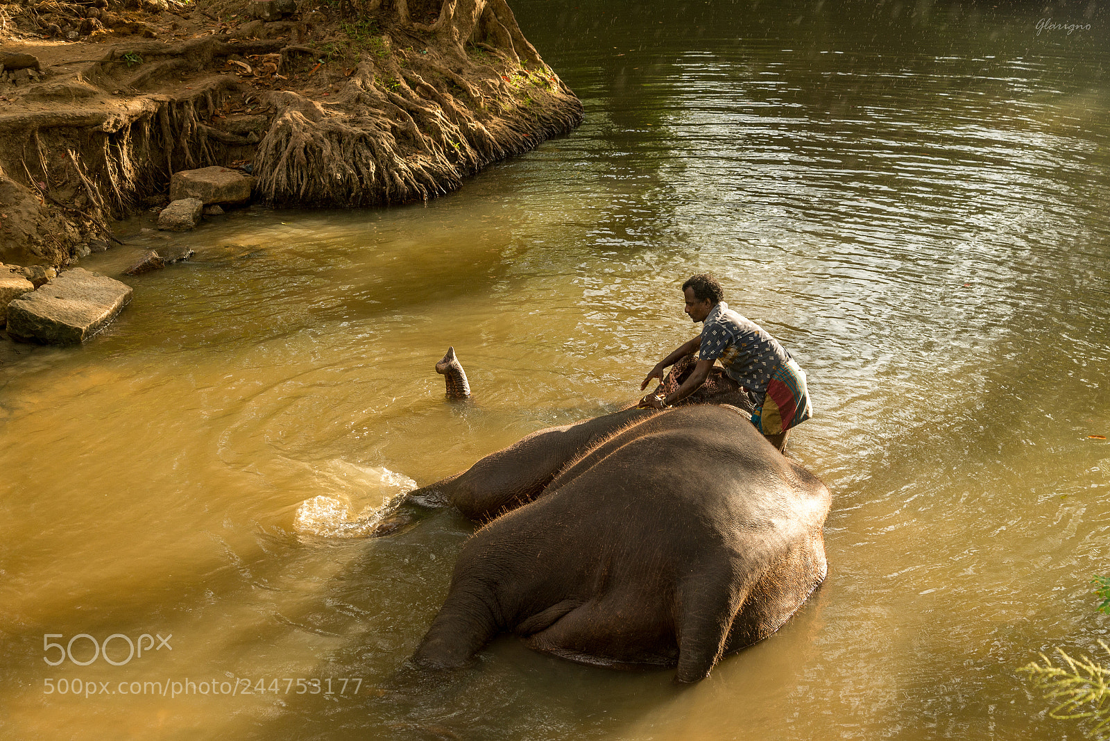 Nikon D610 sample photo. Sri lanka xi photography