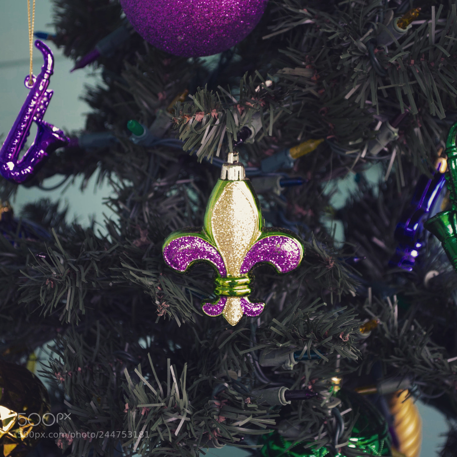 Nikon D3100 sample photo. Mardi gras decoration photography