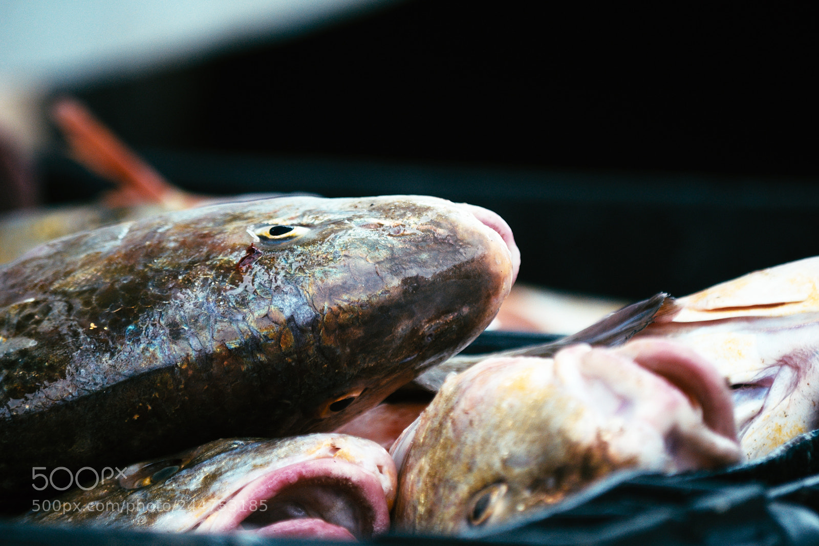 Nikon D5100 sample photo. Pescadores de mar de photography