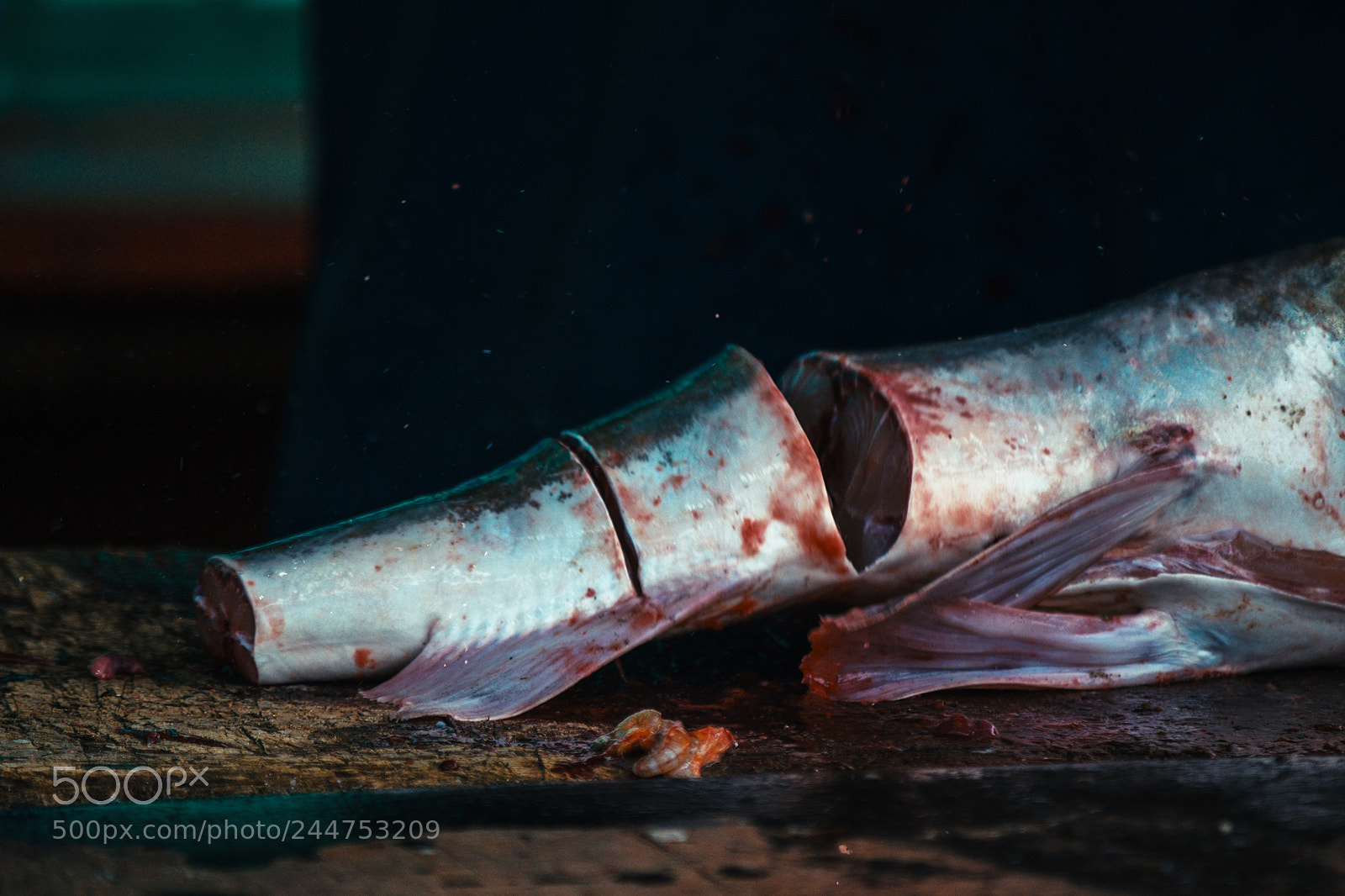 Nikon D5100 sample photo. Pescadores de mar de photography