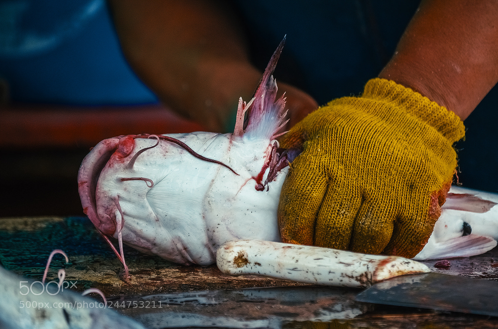 Nikon D5100 sample photo. Pescadores de mar de photography