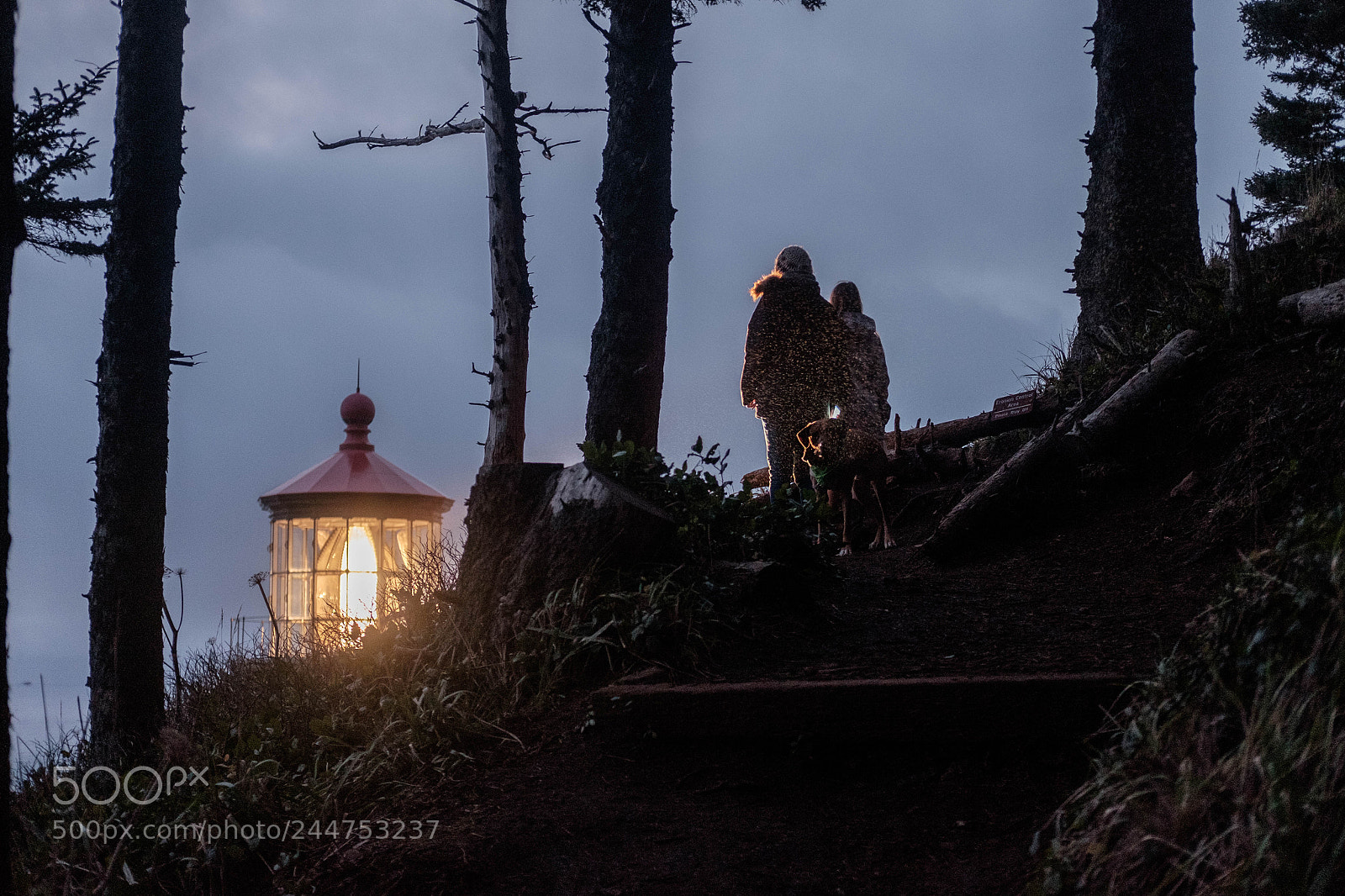 Fujifilm X-T1 sample photo. Heceta head on new photography
