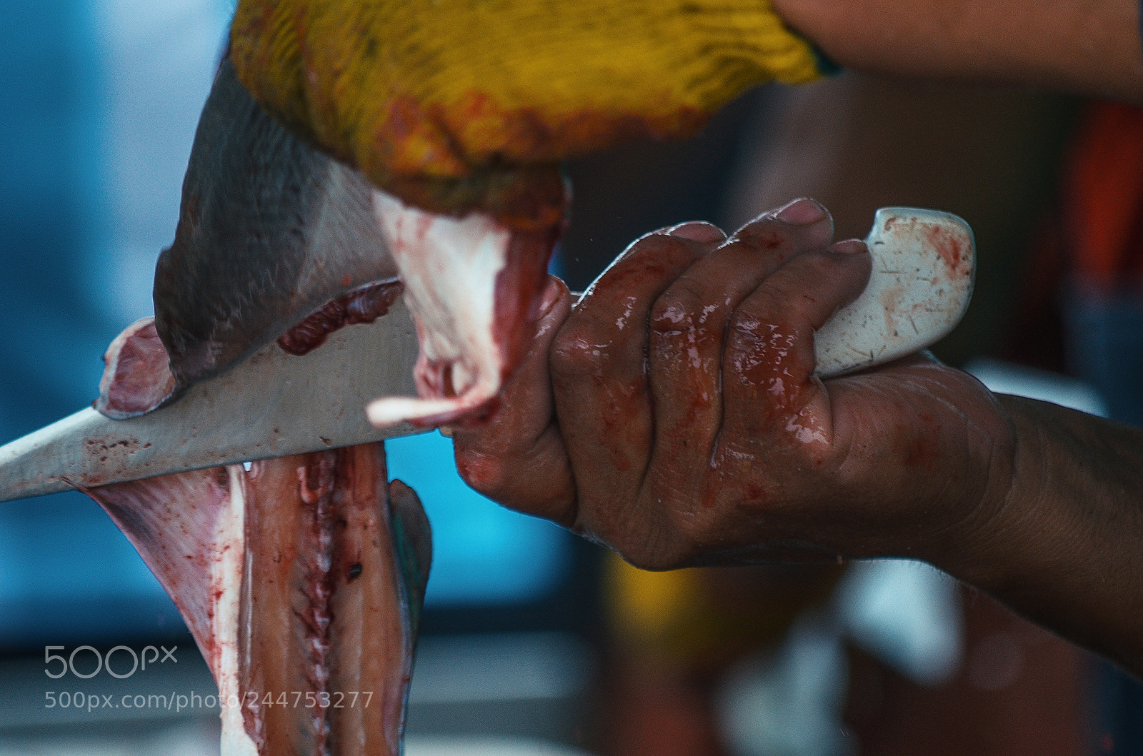 Nikon D5100 sample photo. Pescadores de mar de photography