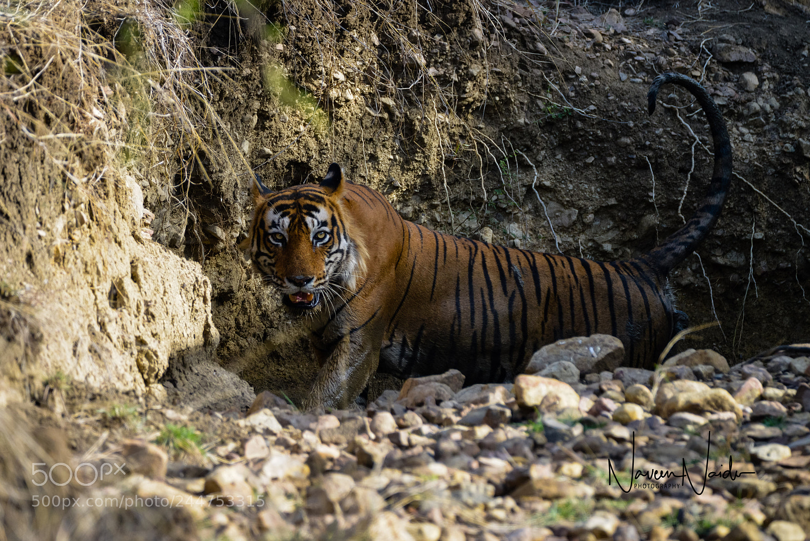 Nikon D800 sample photo. My favorite photography