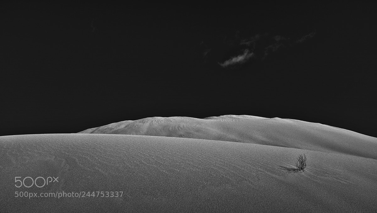 Fujifilm X100T sample photo. Sand weed cloud web photography