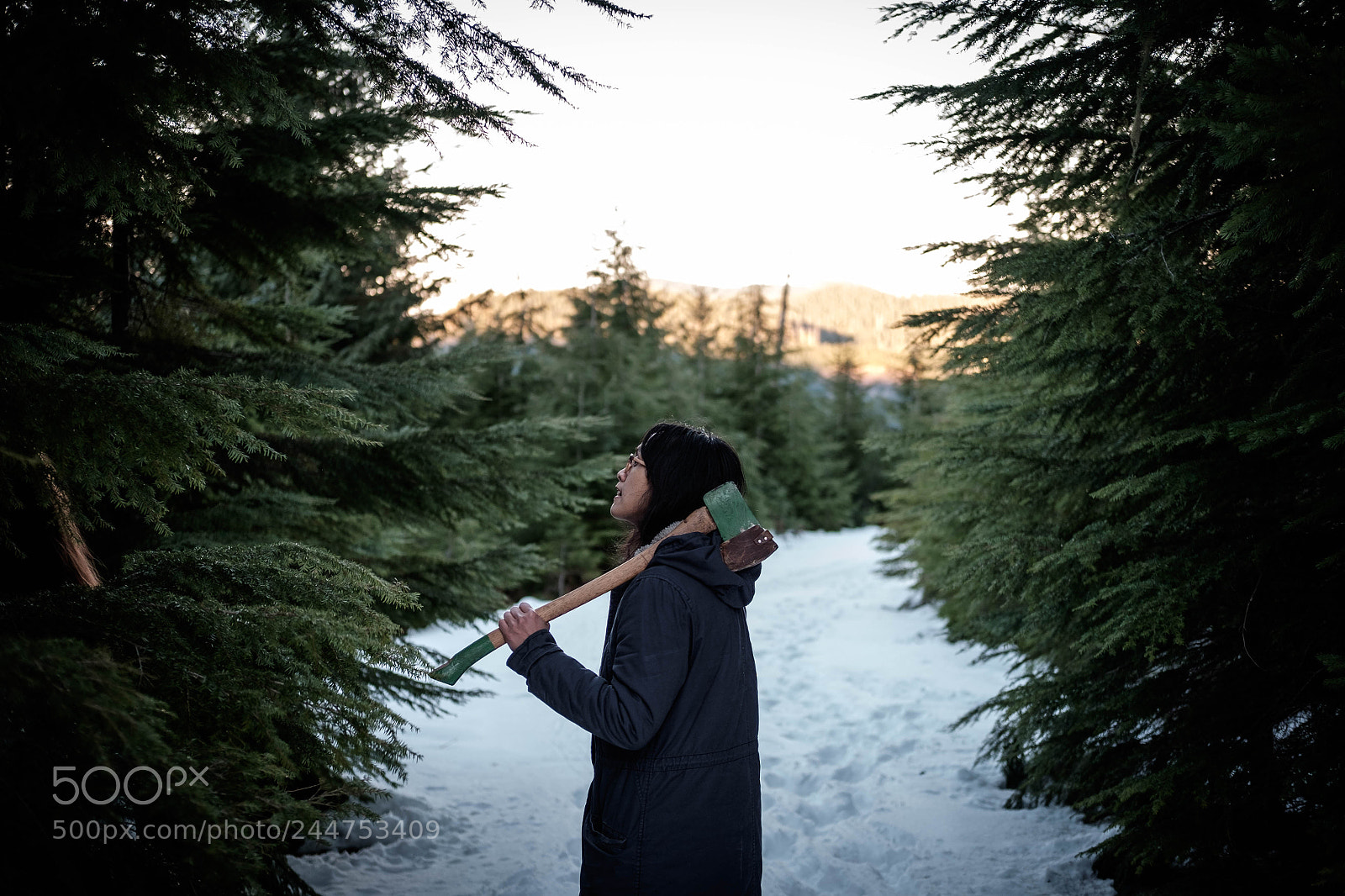 Fujifilm X-T1 sample photo. Finding the right tree photography