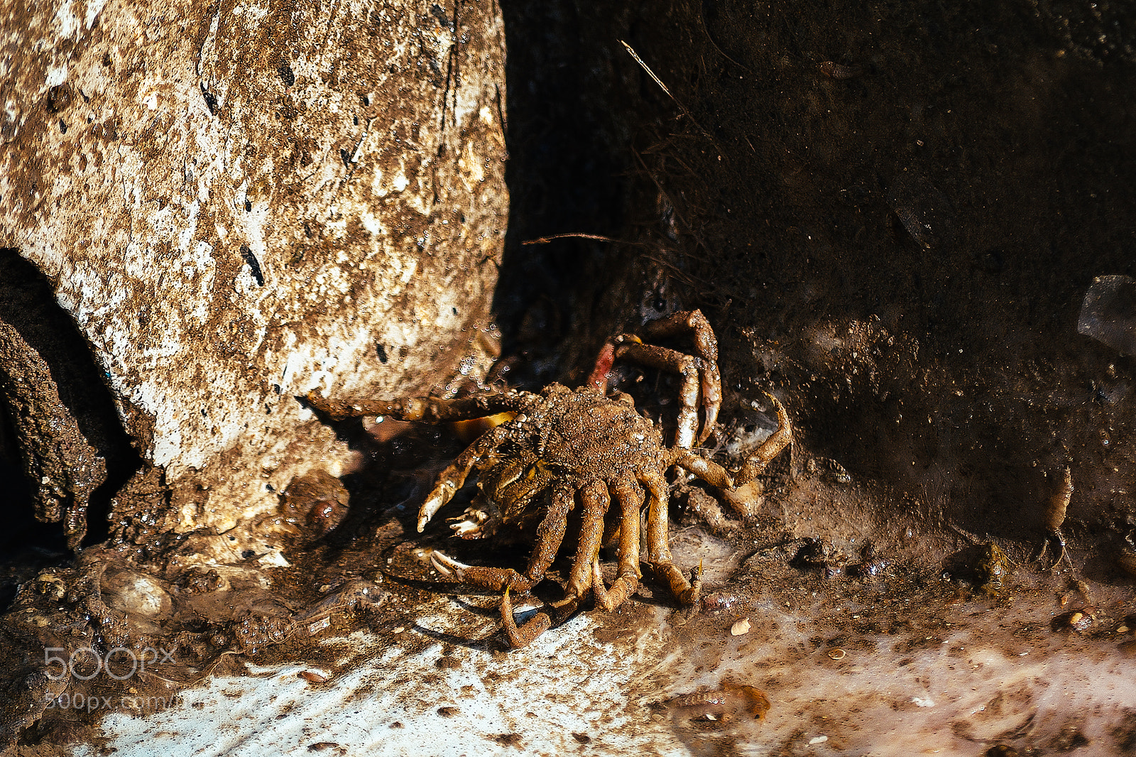 Nikon D5100 sample photo. Pescadores de mar de photography