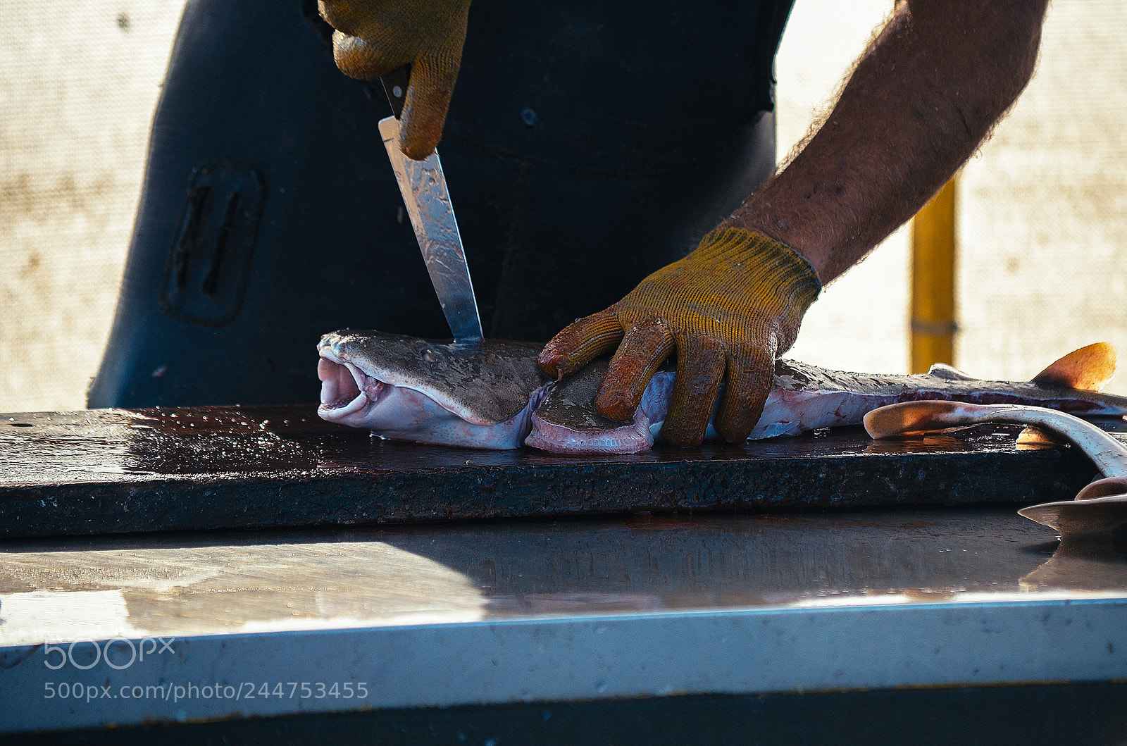 Nikon D5100 sample photo. Pescadores de mar de photography