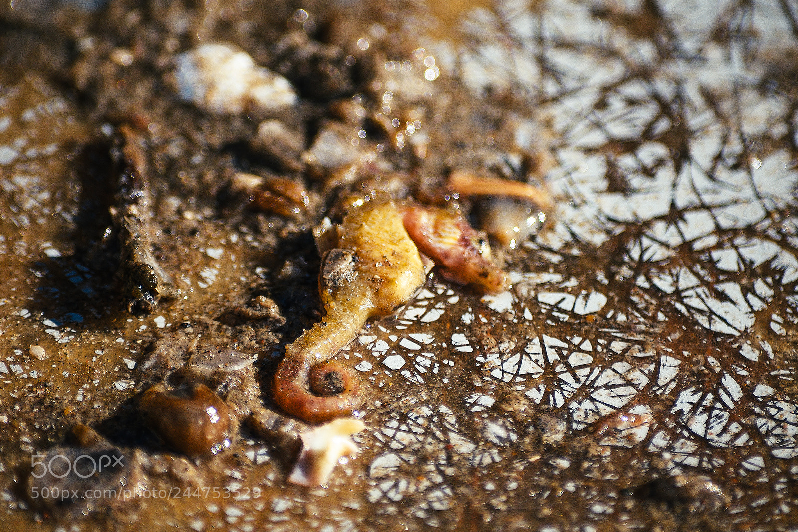 Nikon D5100 sample photo. Pescadores de mar de photography