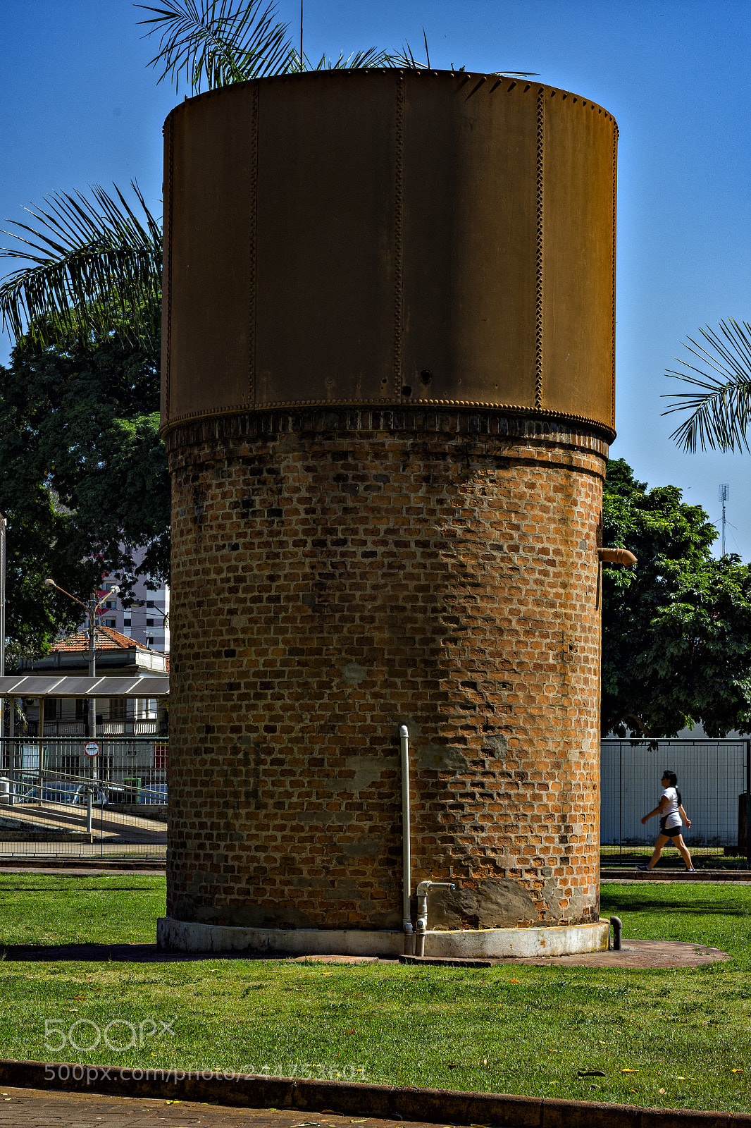 Nikon D7200 sample photo. Dsc photography