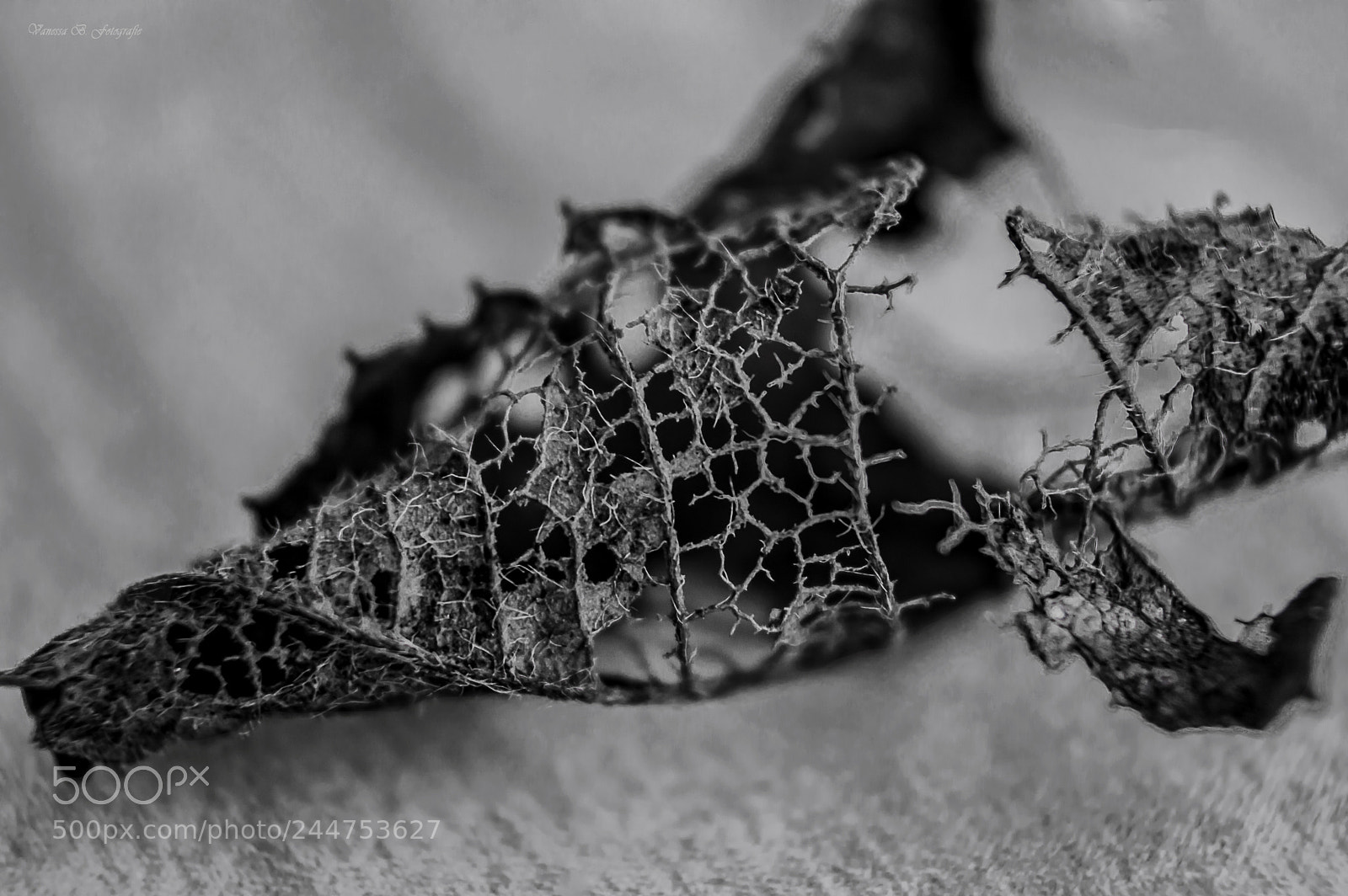 Nikon D3200 sample photo. Untitled photography