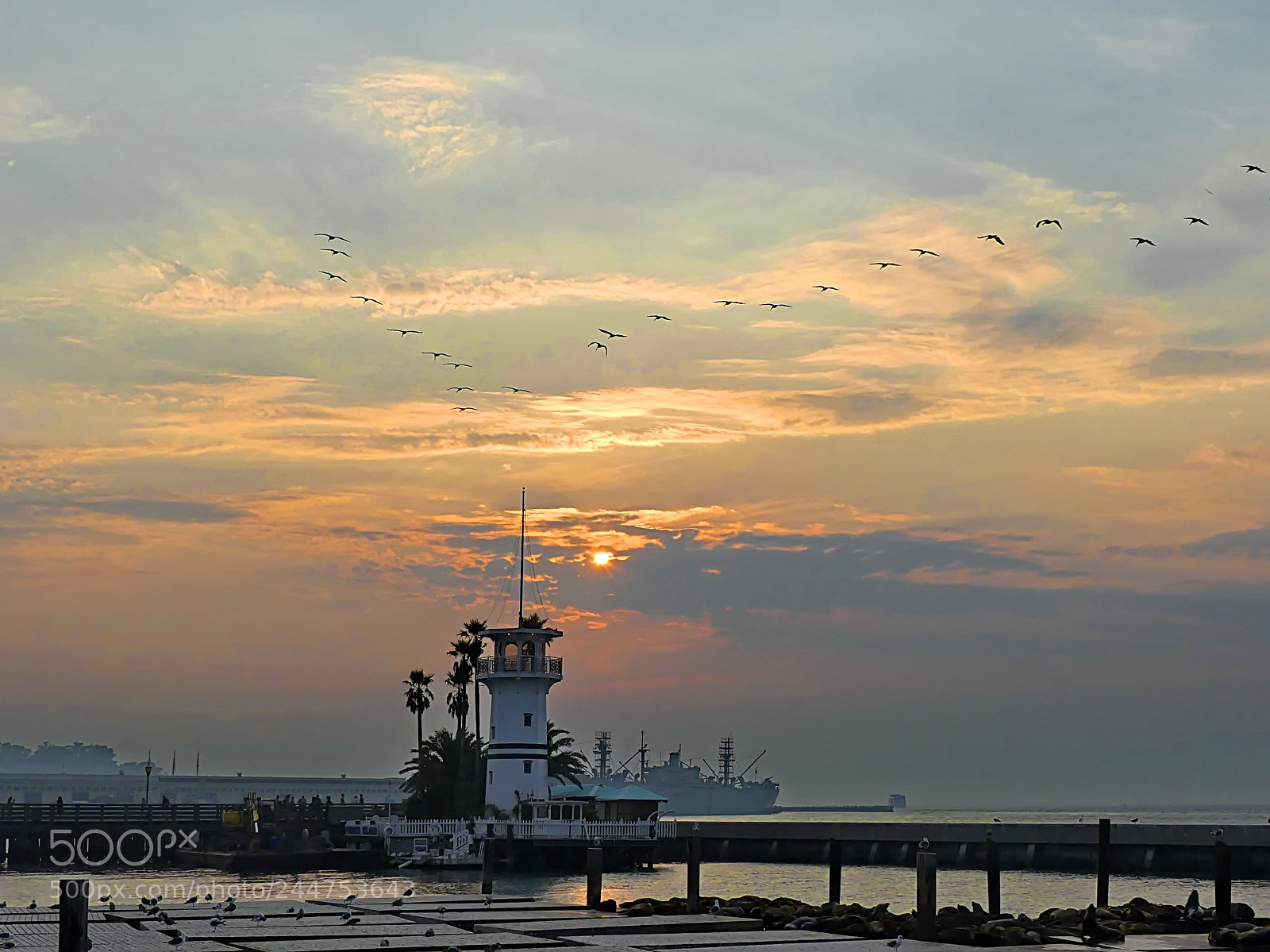 Panasonic Lumix DMC-FZ300 sample photo. Sunset, pier 39, san francisco photography