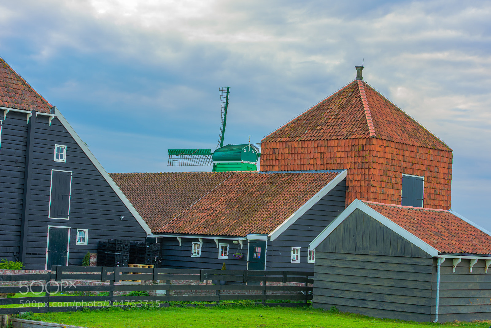 Nikon D810 sample photo. Zaanse schans photography