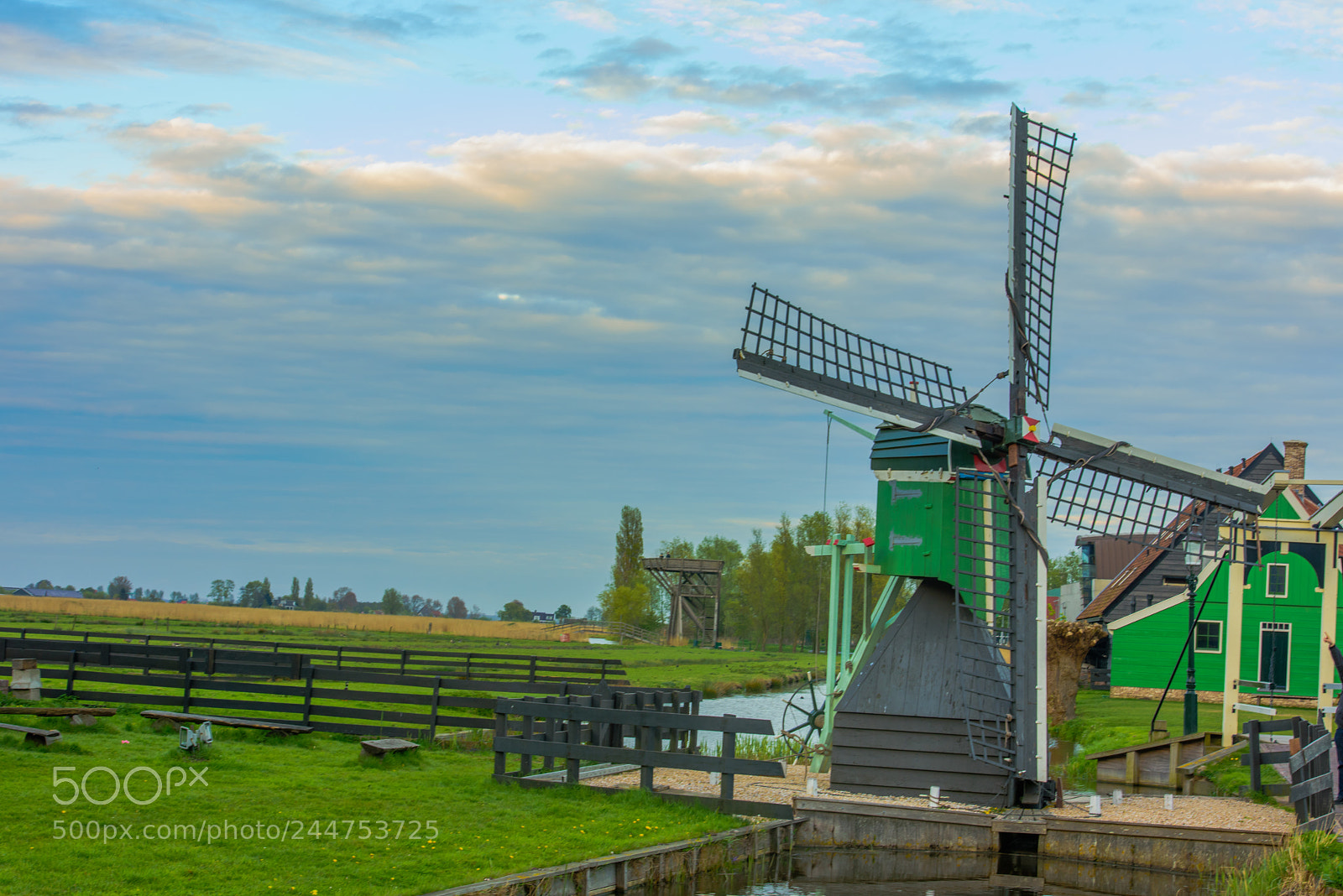 Nikon D810 sample photo. Zaanse schans photography