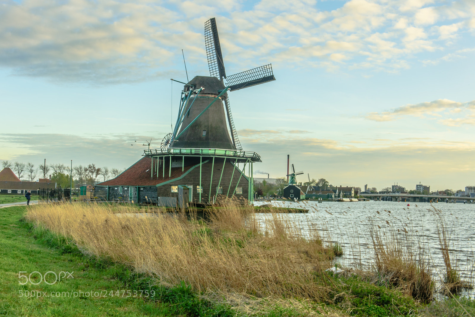 Nikon D810 sample photo. Zaanse schans photography