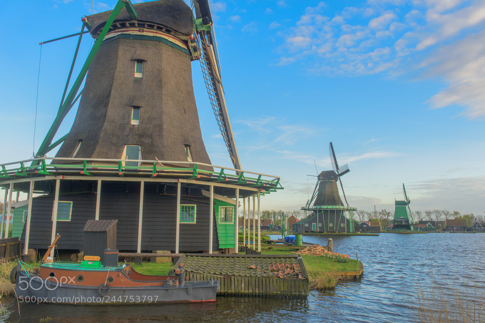 Nikon D810 sample photo. Zaanse schans photography