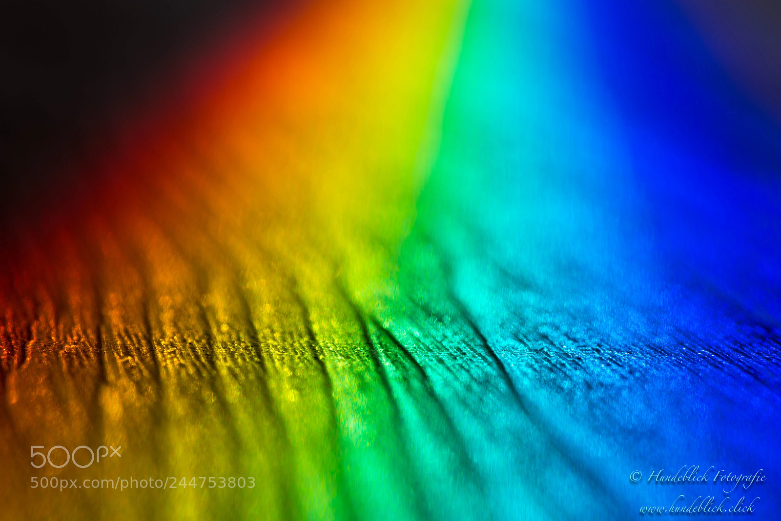 Pentax K-1 sample photo. Rainbow floor photography