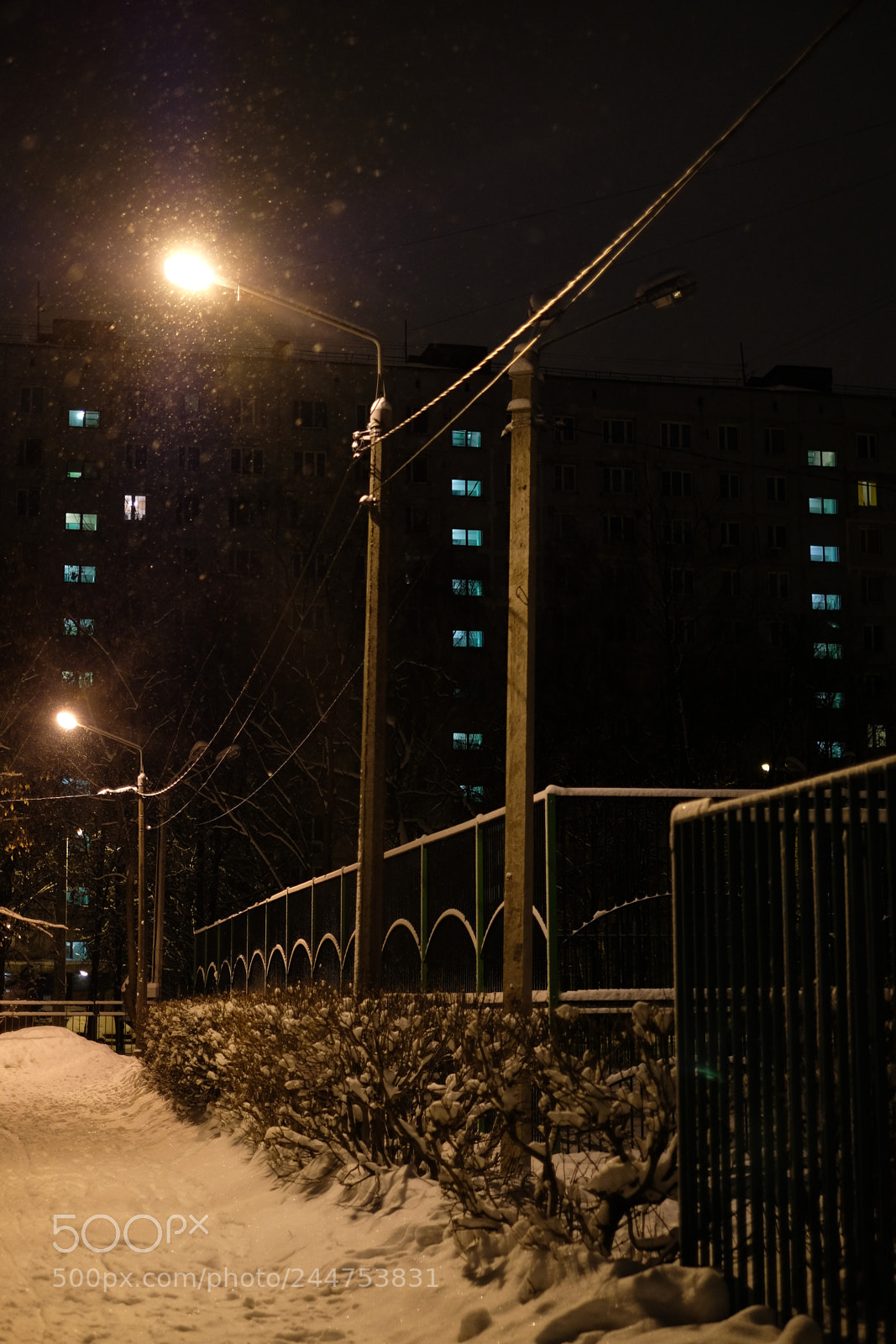Fujifilm X-T20 sample photo. Untitled photography