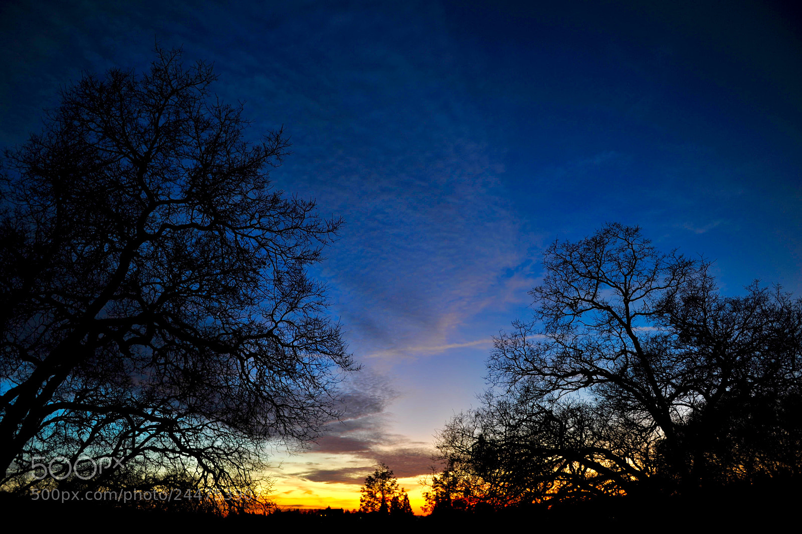 Nikon D700 sample photo. Sunset el dorado hills photography