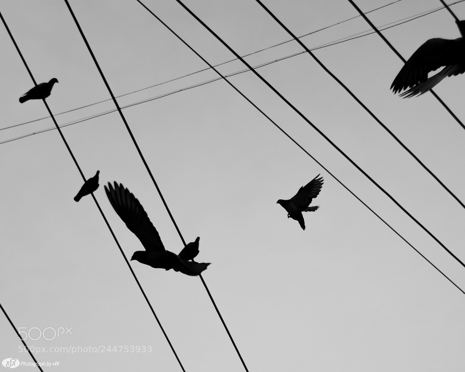 Pentax K-30 sample photo. 黑白戏剧 photography